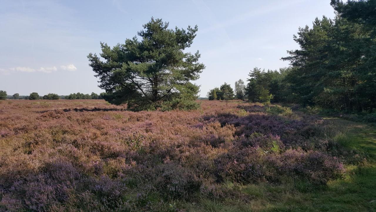 Villa Reewold Veluwe Putten Exterior foto